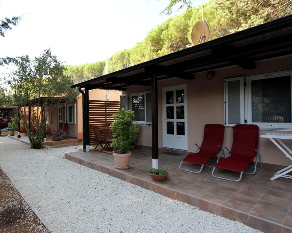 Bungalow Comfort 100 M From The Beach Premantura Esterno foto