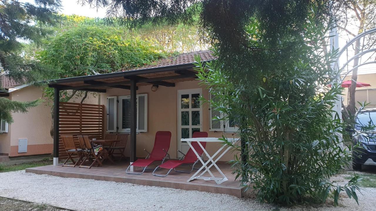 Bungalow Comfort 100 M From The Beach Premantura Esterno foto