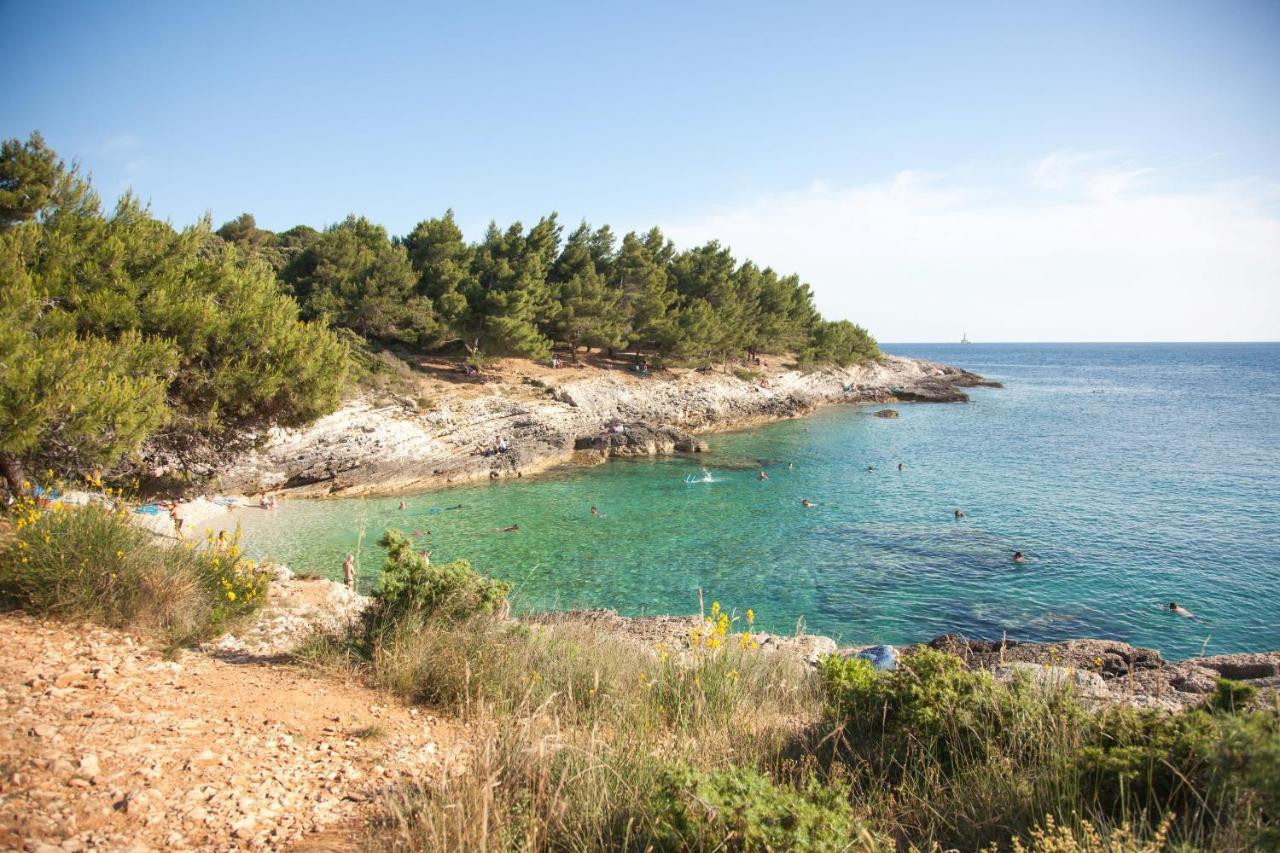 Bungalow Comfort 100 M From The Beach Premantura Esterno foto